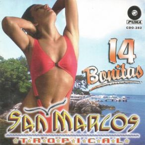 Download track Alicia San Marcos Tropical