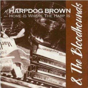 Download track 29 Ways (Live) Harpdog Brown