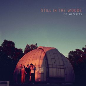 Download track Listen Still In The Woods