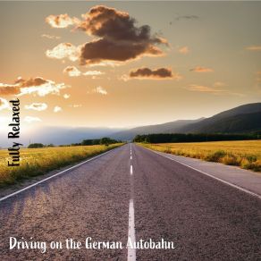 Download track Driving On The German Autobahn, Pt. 2 Steve Brassel