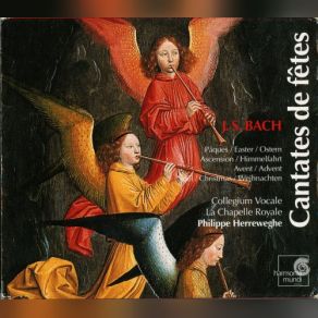 Download track Unser Mund Sei Voll Lachens, BWV 110 - 2. Aria (Tenor): Ihr Gedanken Und Ihr Sinnen Collegium Vocale, Philippe Herreweghe