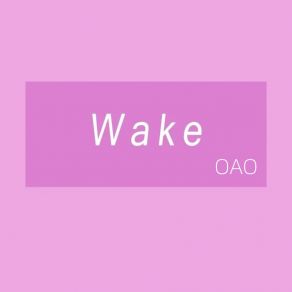 Download track Wake (Dj版) OAO