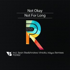 Download track Not For Long (Nikgen Remix) Not Okay