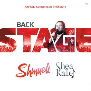 Download track Shebshifleinu Shmueli Ungar