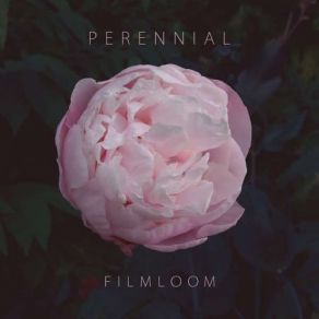 Download track Perennial Filmloom