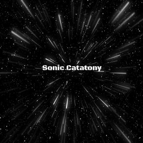 Download track The Future (Respawn Version) Sonic Catatony