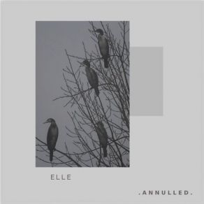 Download track Akuj (Original Mix) Elle