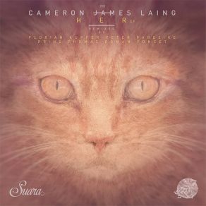 Download track Her (Roman Poncet Main Mix) Cameron James Laing