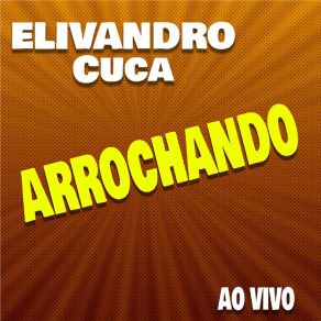 Download track Abre A Mala, Solta O Som (Ao Vivo) Elivandro Cuca