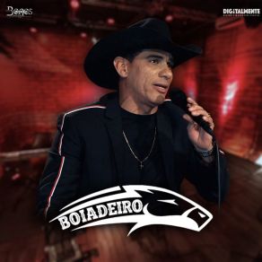 Download track Peão Berranteiro Boiadeiro