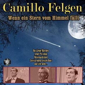 Download track Auch Du Wirst Einmal Vergessen Camillo Felgen