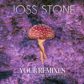 Download track Wake Up (Waggles & Bear Twists Remix) Joss StoneWaggles & Bear Twists