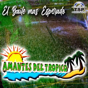 Download track Bailando En La Playa (En Vivo) Amantes Del Tropico