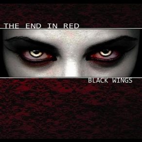 Download track Earthly Medium The End In Red