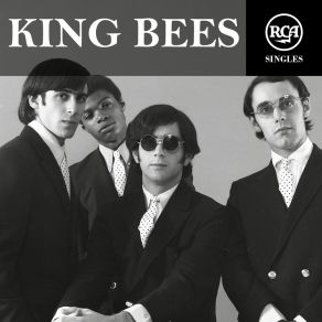 Download track Lost In The Shuffle King Bees