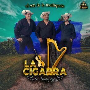 Download track El Son De La Morisqueta Sus Mal Portados Del Arpa