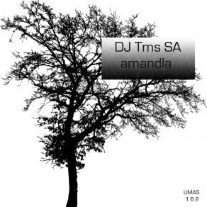 Download track She Loves Me DJ Tms SADa-Sea, Careless HimNi