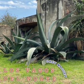 Download track Los Chilaquiles Y El Pulque Los Vagos Del Norte