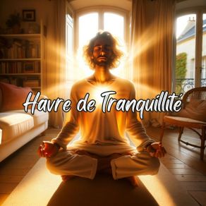 Download track Calme Mental Easy Ambient Mind Body Soul Healing Meditation Music