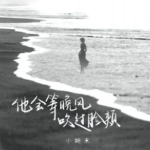 Download track 他会等晚风吹过脸颊 小婉禾