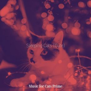 Download track Music (Relaxed) Music For Cats Prime