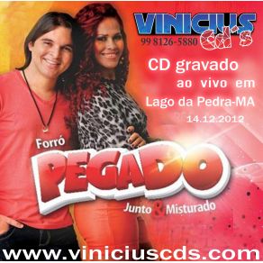 Download track Lago Da Pedra (134) Vinícius, Forro Pegado