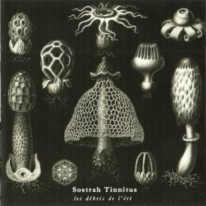 Download track Oozee Sostrah Tinnitus