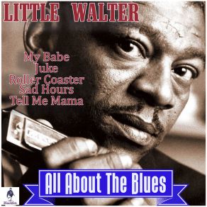 Download track Boom, Boom Out Go The Lights Little Walter