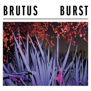 Download track Baby Seal Brutus