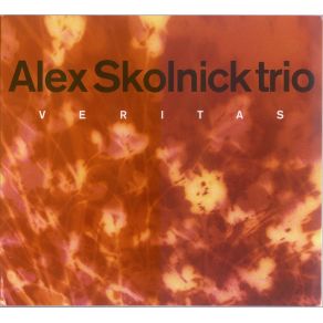 Download track Flections Alex Skolnick Trio