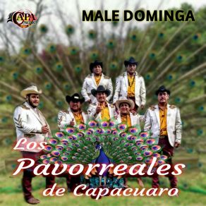 Download track Claudia Los Pavorreales De Capacuaro