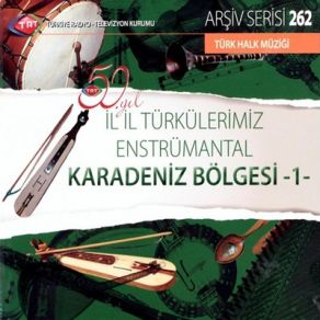 Download track Bir Taş Attım Alıca (Enst.) TRT Saz Sanatçıları