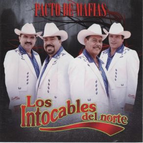 Download track Soy Albanil Los Intocables Del Norte