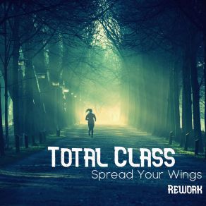 Download track Light Trouble (Rework) Total Class