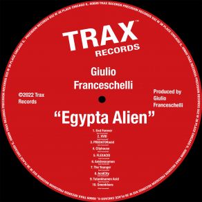 Download track PREDATORacid Giulio Franceschelli