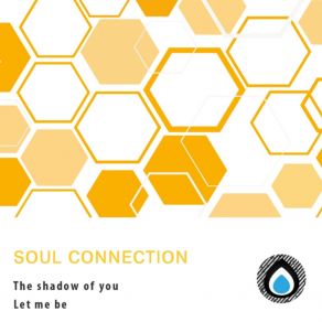 Download track The Shadow Of You Soul Connection