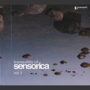 Download track Anomalye's Motion Sensorica