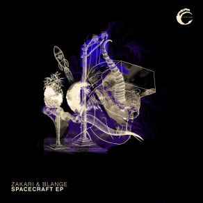 Download track Space Odyssey (Original Mix) ZakariandBlange