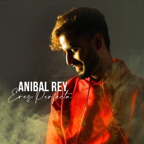 Download track Eres Perfecta Anibal Rey