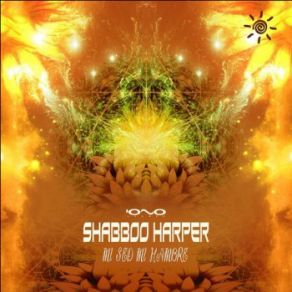 Download track Siempre Estoy Hay (Original Mix) Shabboo Harper