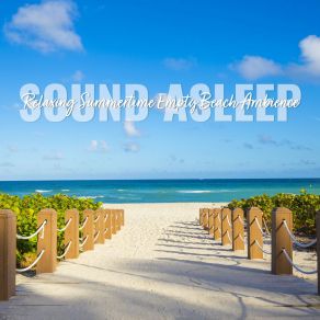 Download track Relaxing Summertime Empty Beach Ambience, Pt. 8 Elijah Wagner