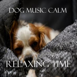 Download track Binaural Melody For Dogs Dog Music Calm