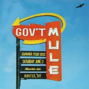 Download track Brighter Days Gov'T Mule