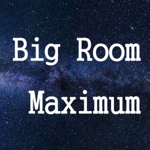 Download track Big Jungle Room (Original Mix) Mad Killer