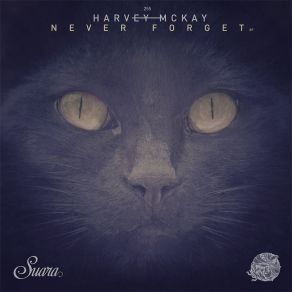 Download track Use Me (Original Mix) Harvey Mckay