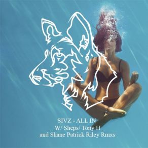 Download track All In (Sheps Rmx) Sivz