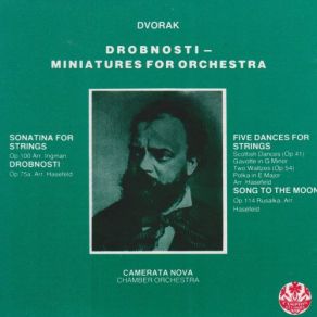 Download track Drobnosti Miniatures For String Orchestra I. Cavatina Chamber Orchestra, Camerata Nova