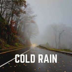 Download track Wait All Year Raindrops Sleep