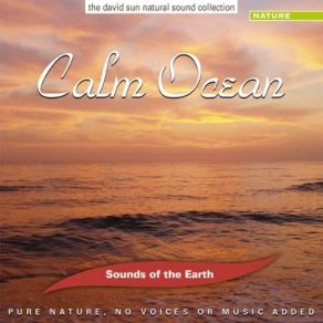 Download track Calm Ocean David Sun