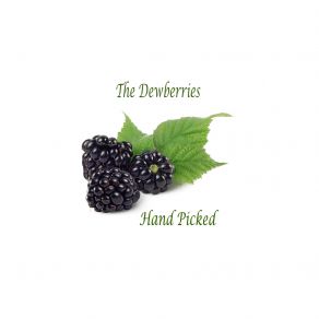 Download track Baby Blues The Dewberries